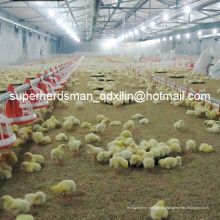 Automatische Ausrüstung der hohen Qualität für Broiler-Geflügel-Haus